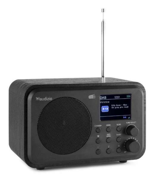 Audizio Milan DAB+ Radio mit Akku schwarz