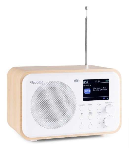 Audizio Milan DAB+ Radio mit Akku schwarz